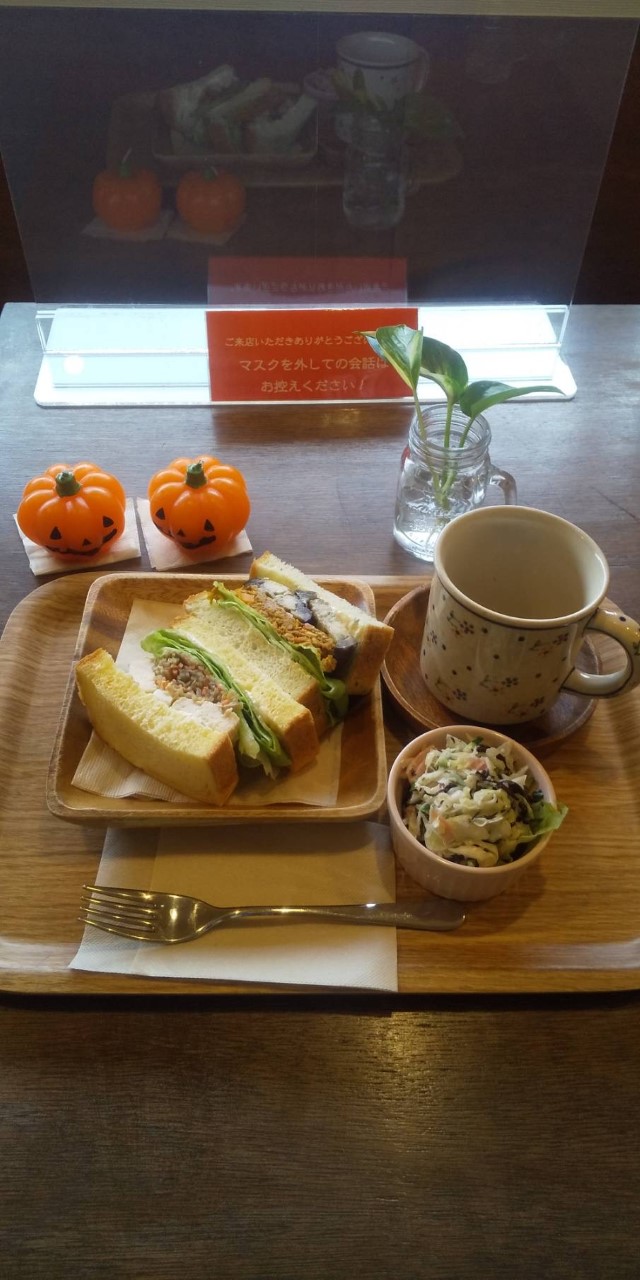 蒸し鶏ときんぴら＋キーマカレーのサンドイッチ。ドリンクサラダセット(^-^)<br>